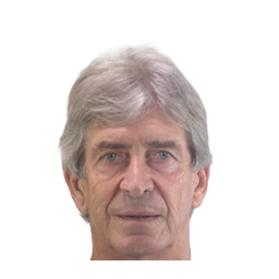 Manuel Pellegrini